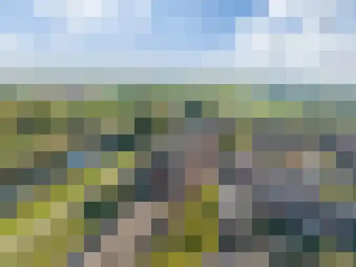 Parcivalring 301 's-Hertogenbosch thumbnail 37