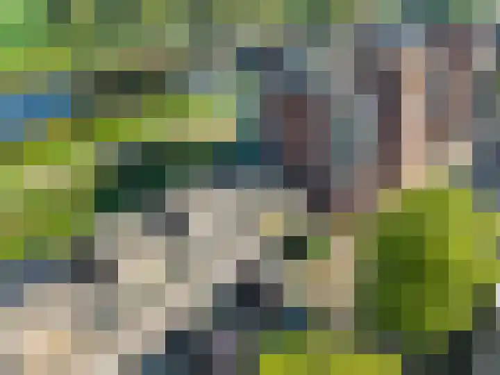 Parcivalring 301 's-Hertogenbosch thumbnail 39