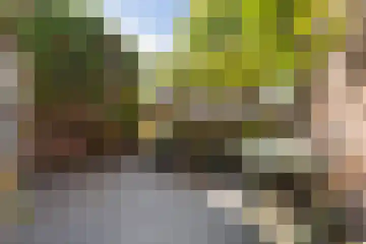 Parcivalring 301 's-Hertogenbosch thumbnail 4