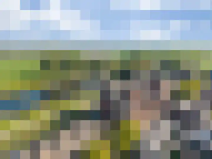 Parcivalring 301 's-Hertogenbosch thumbnail 6