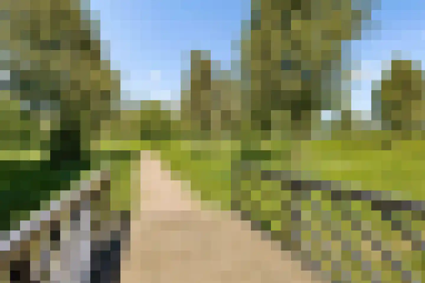 Parcivalring 34 's-Hertogenbosch thumbnail 26