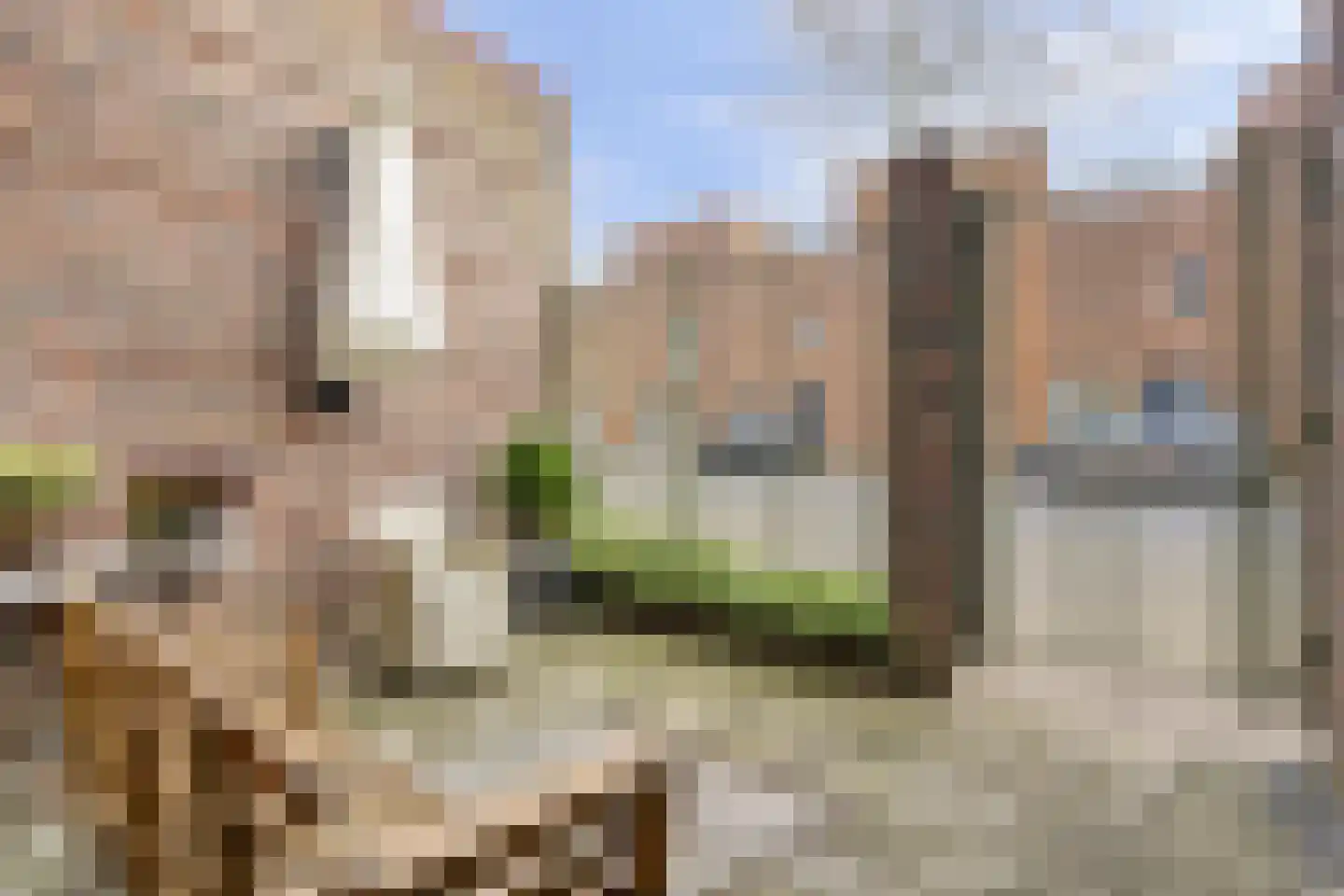 Parcivalring 357 's-Hertogenbosch thumbnail 10