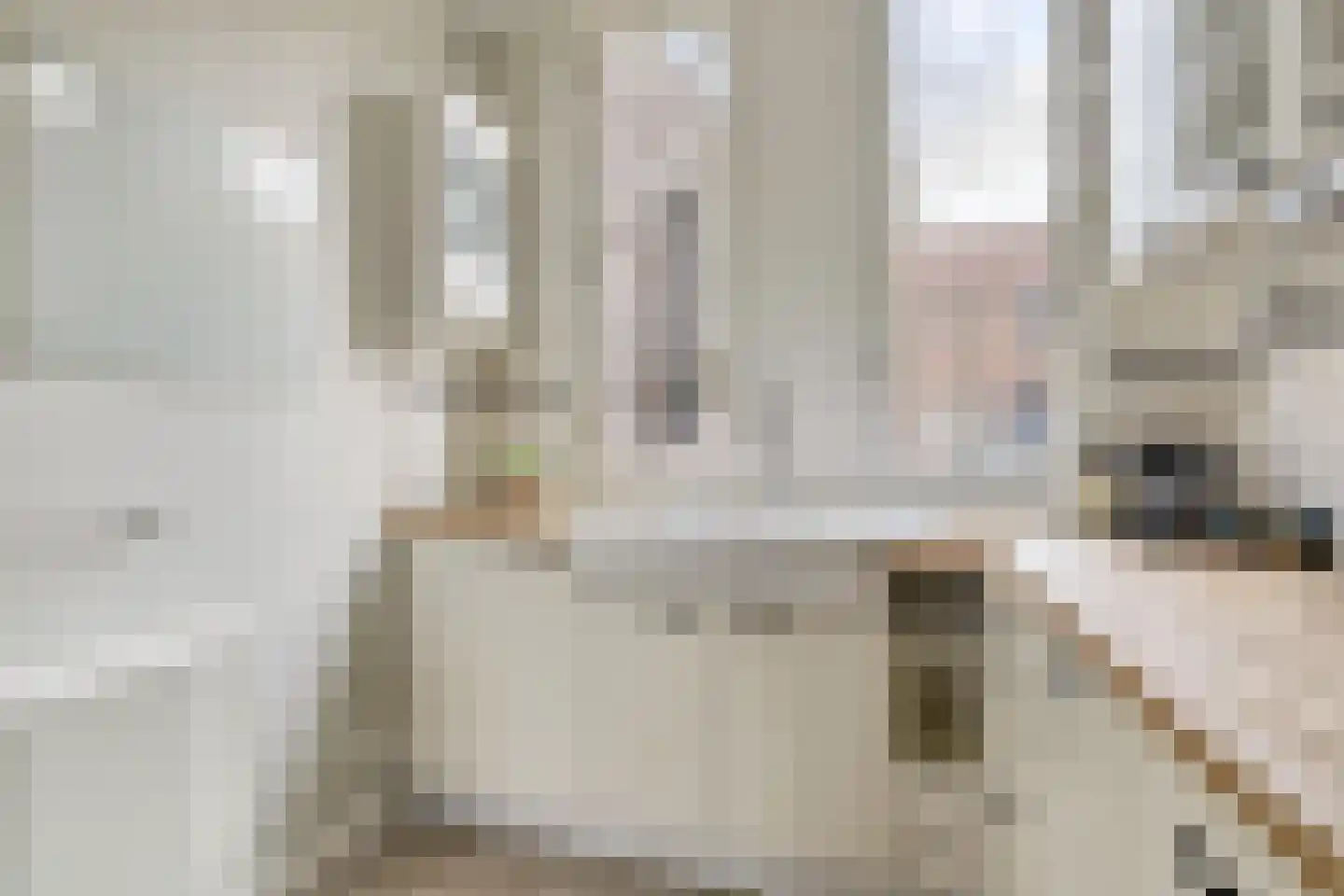 Parcivalring 357 's-Hertogenbosch thumbnail 26
