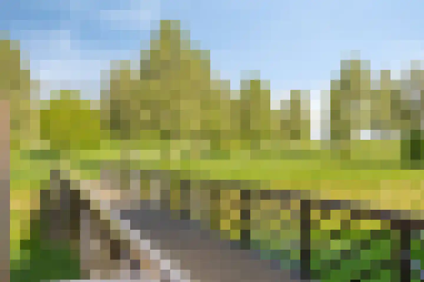 Parcivalring 36 's-Hertogenbosch thumbnail 33