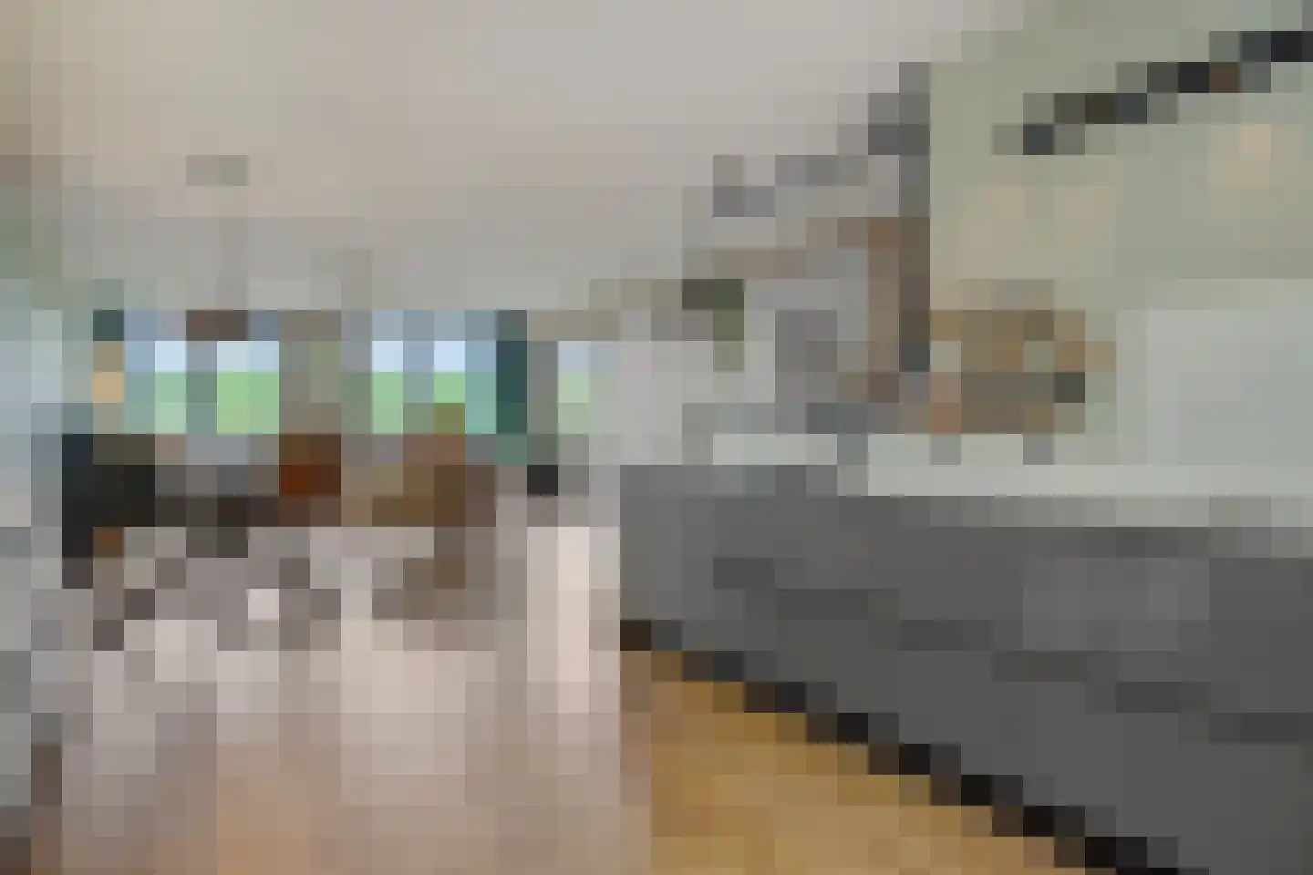 Parcivalring 389 's-Hertogenbosch thumbnail 12