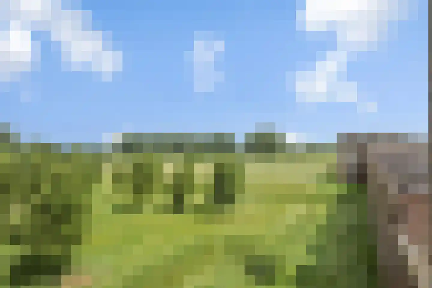 Parcivalring 389 's-Hertogenbosch thumbnail 30