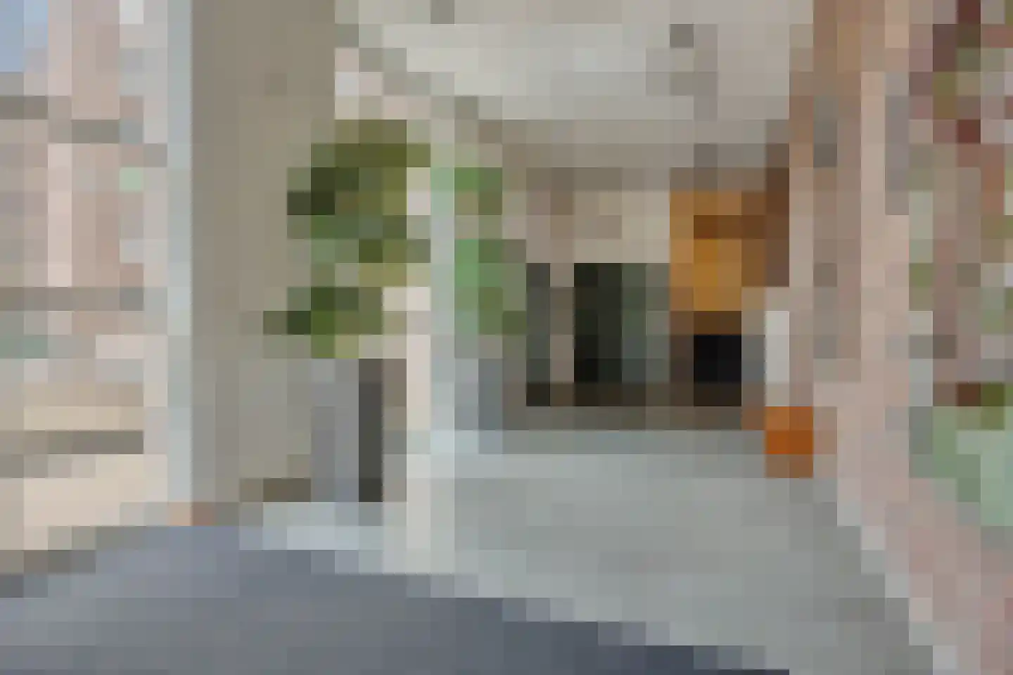 Parcivalring 389 's-Hertogenbosch thumbnail 31