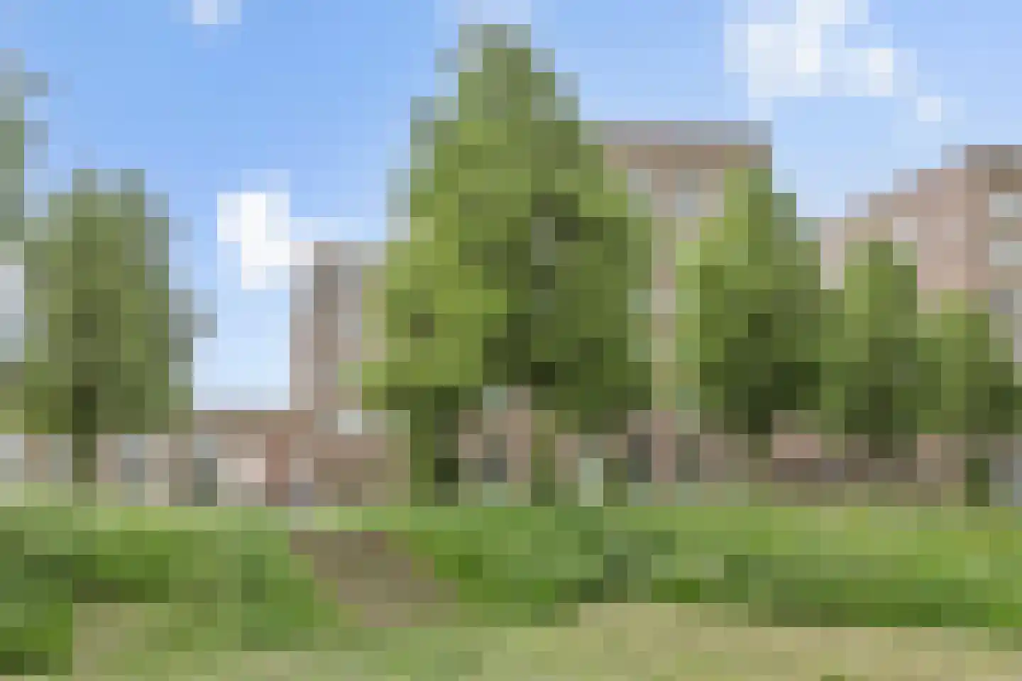 Parcivalring 389 's-Hertogenbosch thumbnail 38
