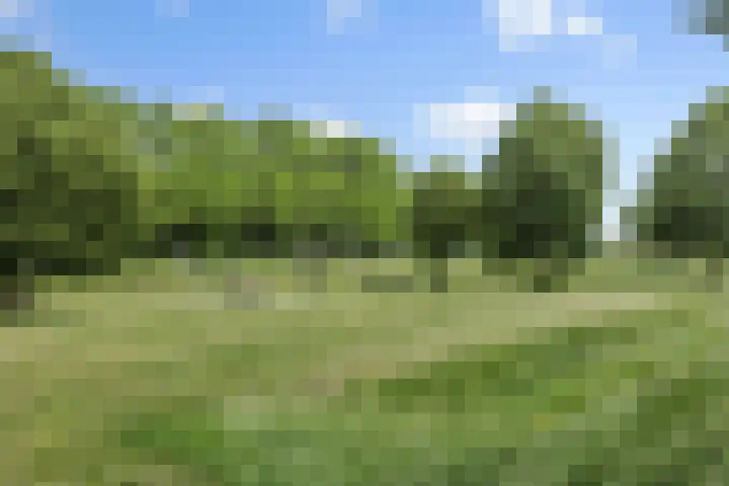 Parcivalring 389 's-Hertogenbosch thumbnail 42