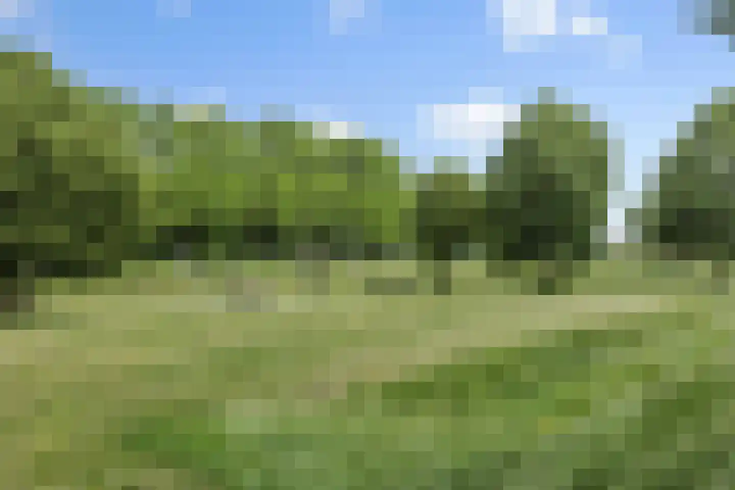 Parcivalring 389 's-Hertogenbosch thumbnail 43