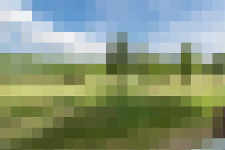 Parcivalring 395 's-Hertogenbosch thumbnail 29