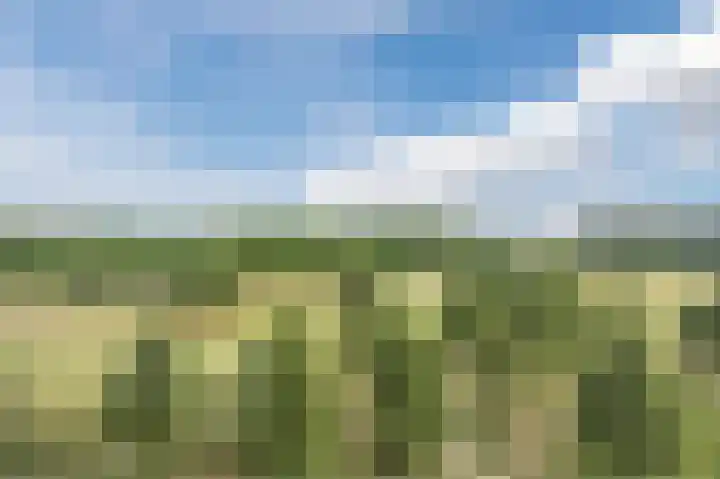 Parcivalring 395 's-Hertogenbosch thumbnail 30