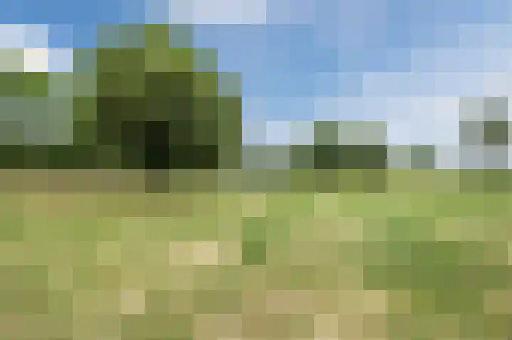 Parcivalring 395 's-Hertogenbosch thumbnail 36