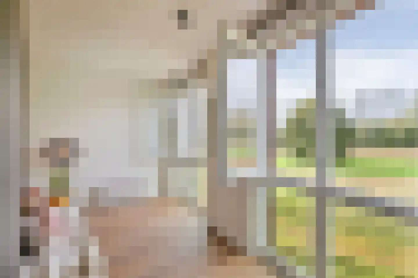 Parcivalring 403 's-Hertogenbosch thumbnail 22