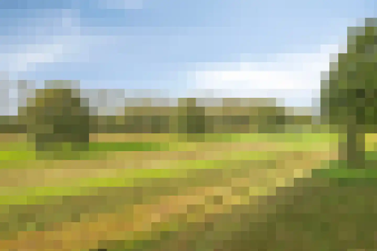 Parcivalring 403 's-Hertogenbosch thumbnail 24