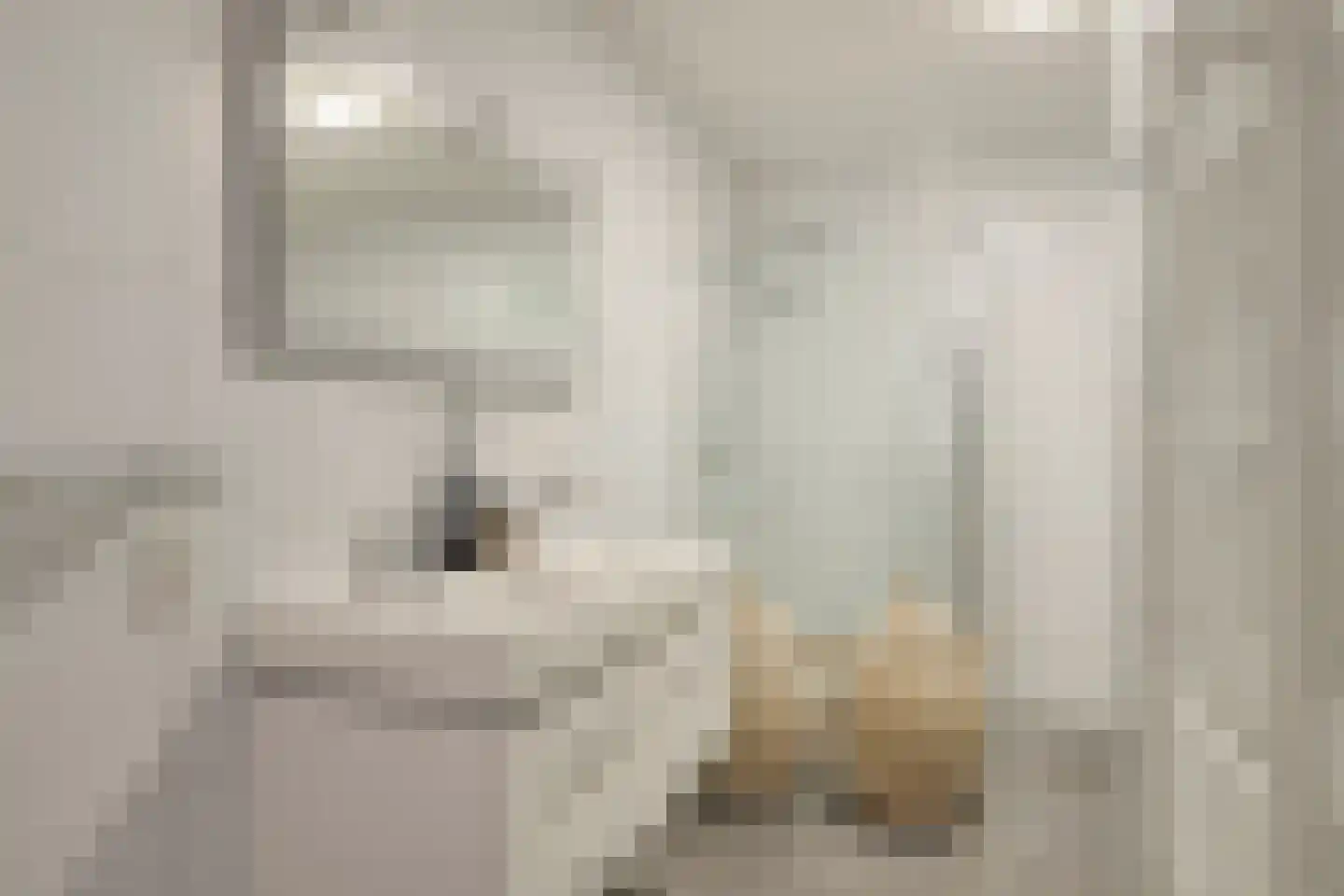 Parcivalring 403 's-Hertogenbosch thumbnail 34