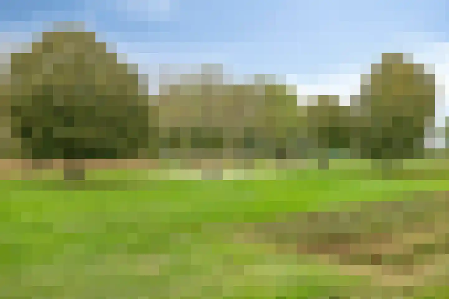 Parcivalring 403 's-Hertogenbosch thumbnail 47