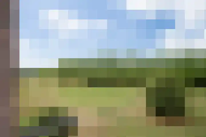 Parcivalring 413 's-Hertogenbosch thumbnail 26