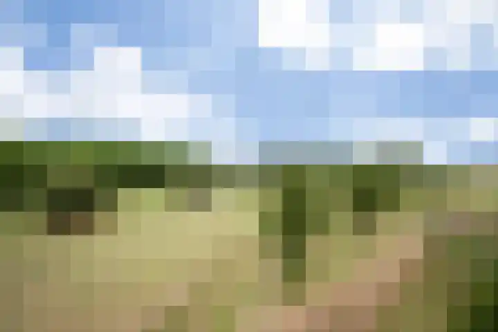 Parcivalring 413 's-Hertogenbosch thumbnail 27