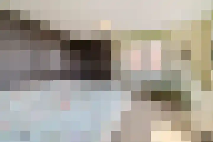 Parcivalring 413 's-Hertogenbosch thumbnail 31