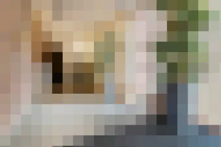 Parcivalring 413 's-Hertogenbosch thumbnail 4