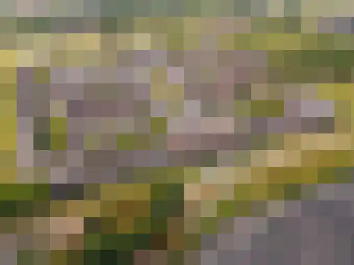 Parcivalring 413 's-Hertogenbosch thumbnail 41