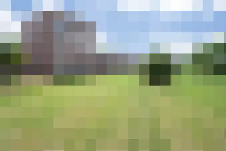Parcivalring 413 's-Hertogenbosch thumbnail 44