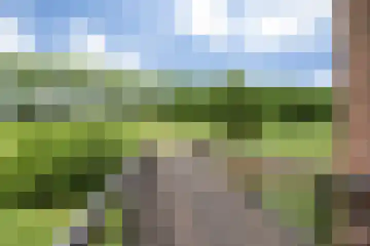 Parcivalring 413 's-Hertogenbosch thumbnail 47