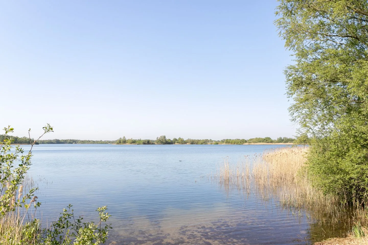 Parcivalring 427 's-Hertogenbosch thumbnail 27