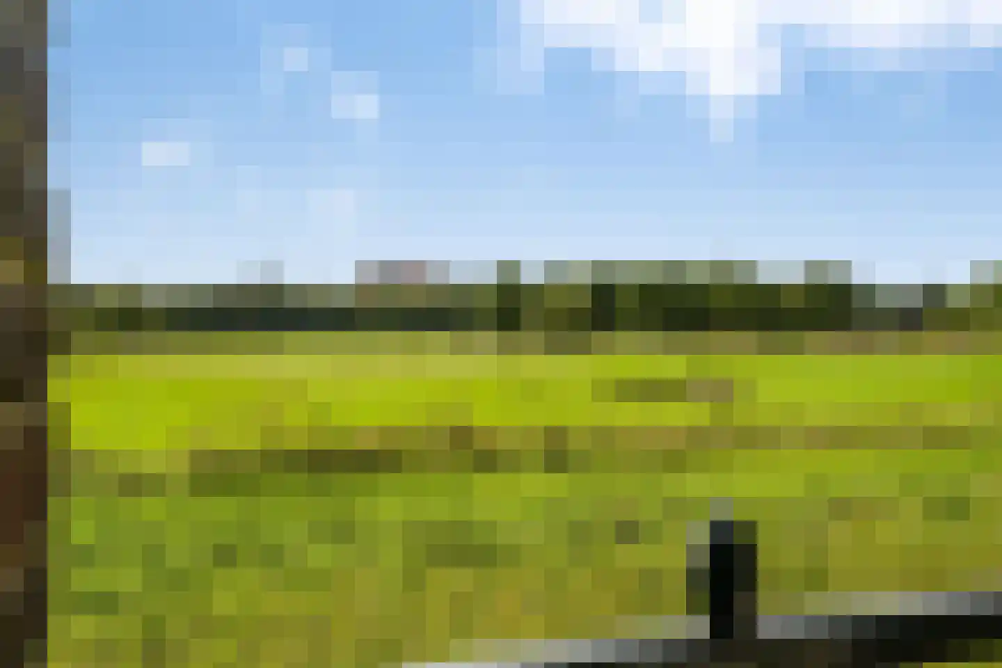 Parcivalring 43 's-Hertogenbosch thumbnail 14