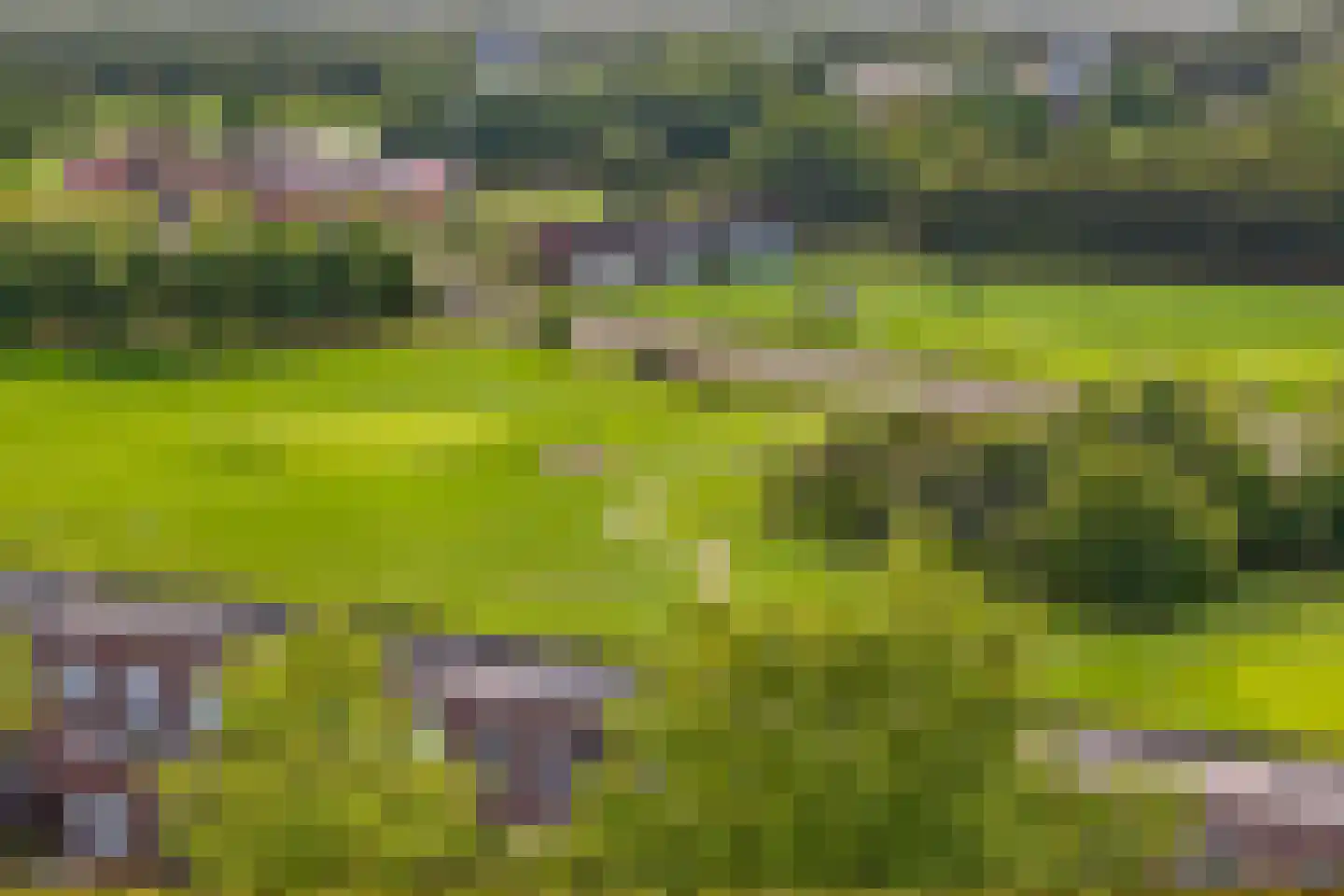 Parcivalring 43 's-Hertogenbosch thumbnail 16