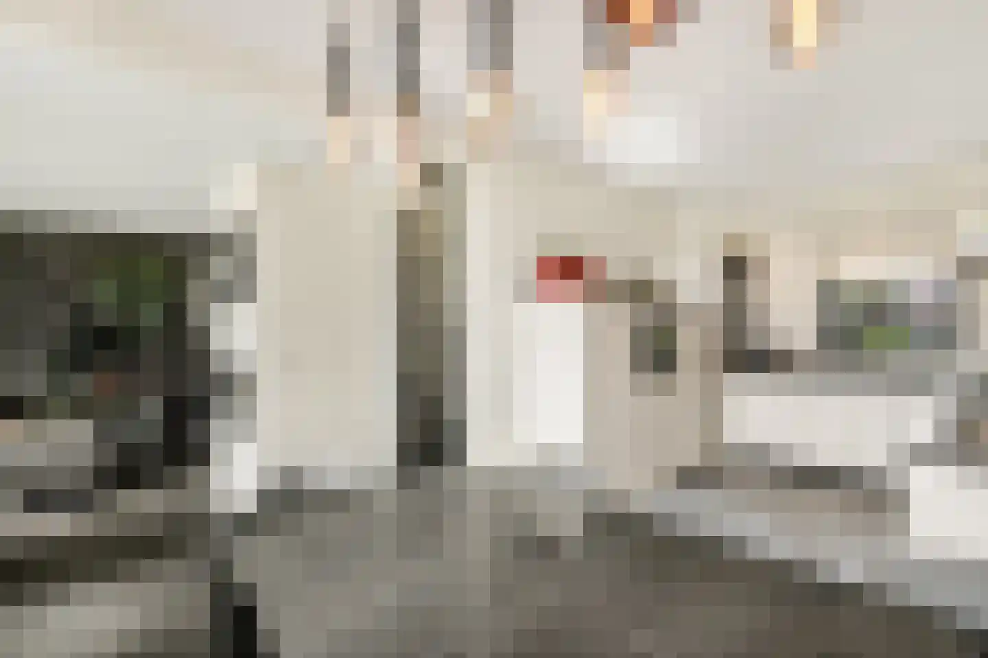 Parcivalring 43 's-Hertogenbosch thumbnail 22