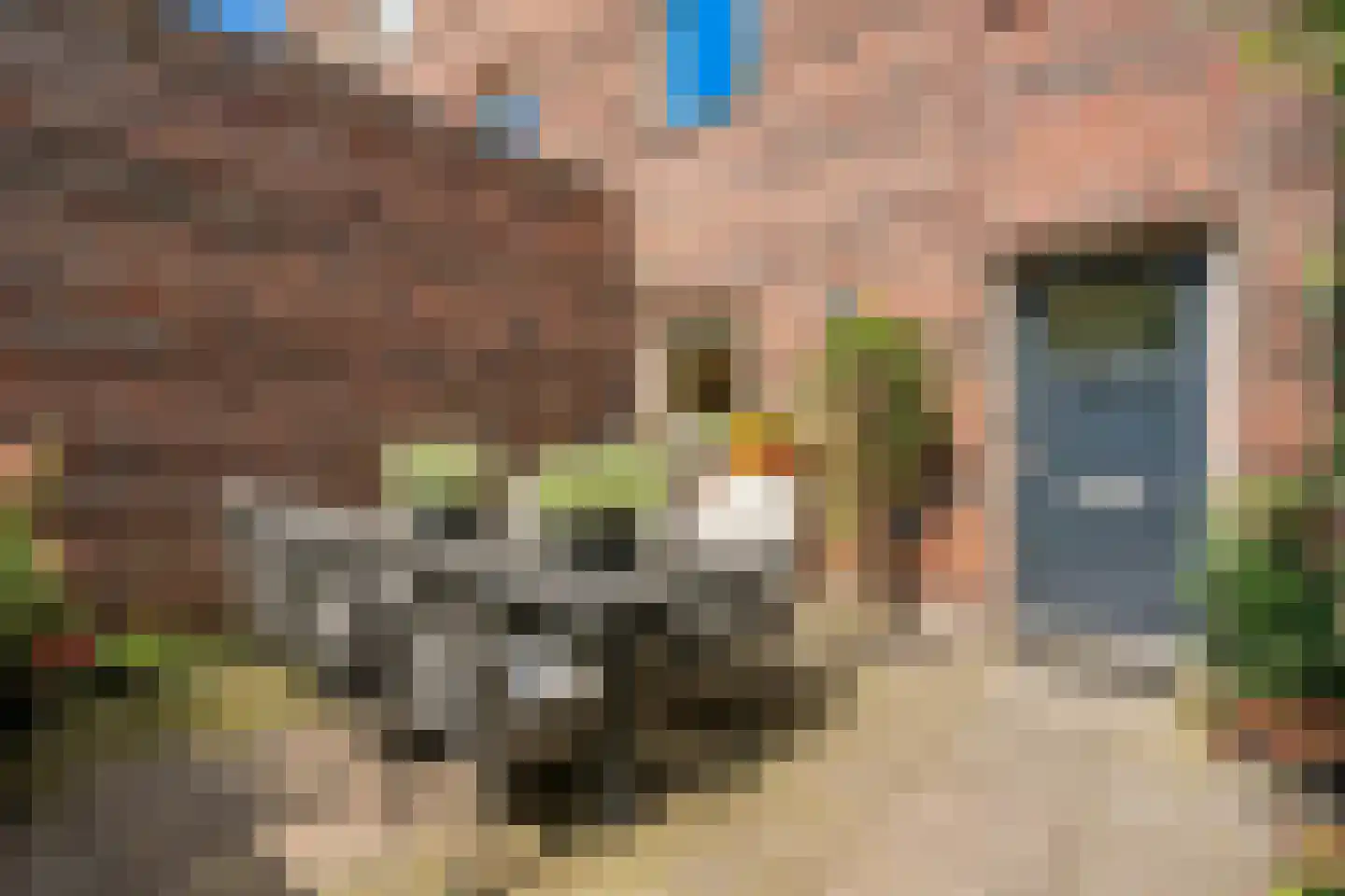 Parcivalring 43 's-Hertogenbosch thumbnail 25