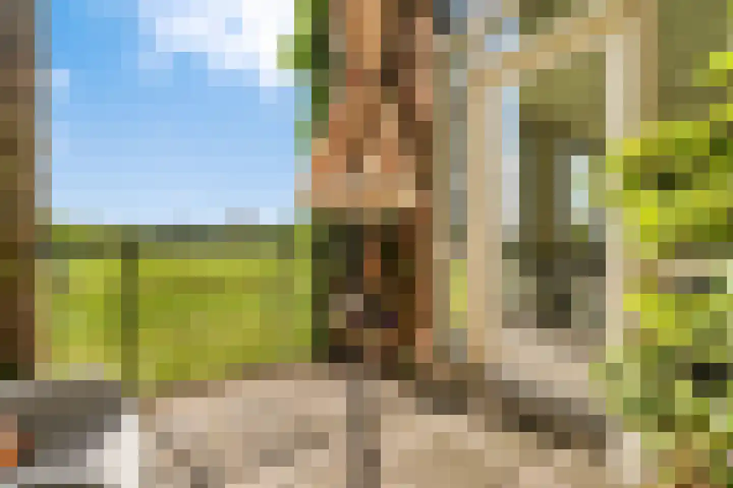 Parcivalring 43 's-Hertogenbosch thumbnail 4