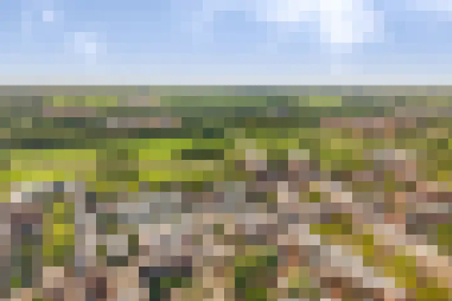 Parcivalring 43 's-Hertogenbosch thumbnail 56