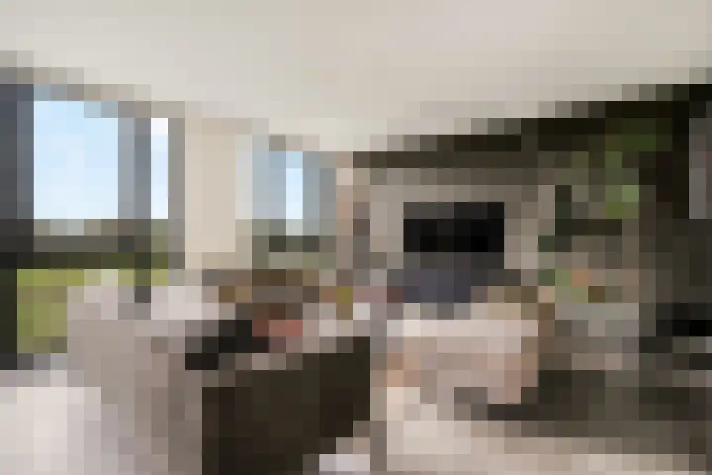 Parcivalring 43 's-Hertogenbosch thumbnail 8