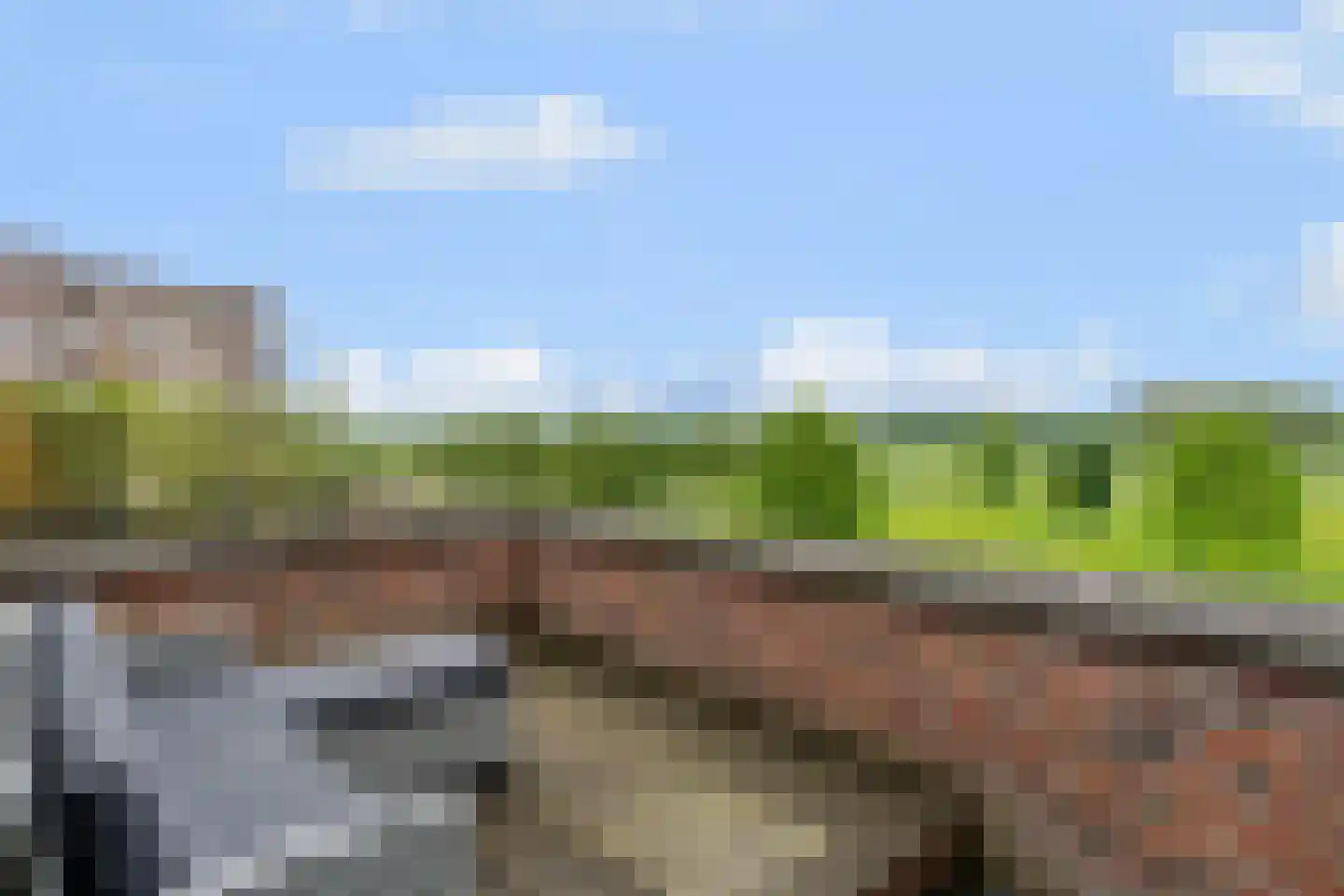 Parcivalring 495 's-Hertogenbosch thumbnail 41