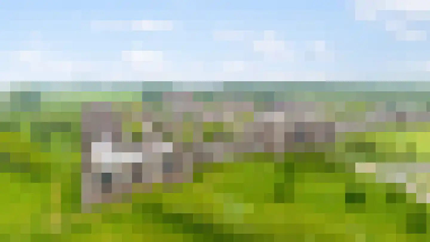 Parcivalring 495 's-Hertogenbosch thumbnail 50