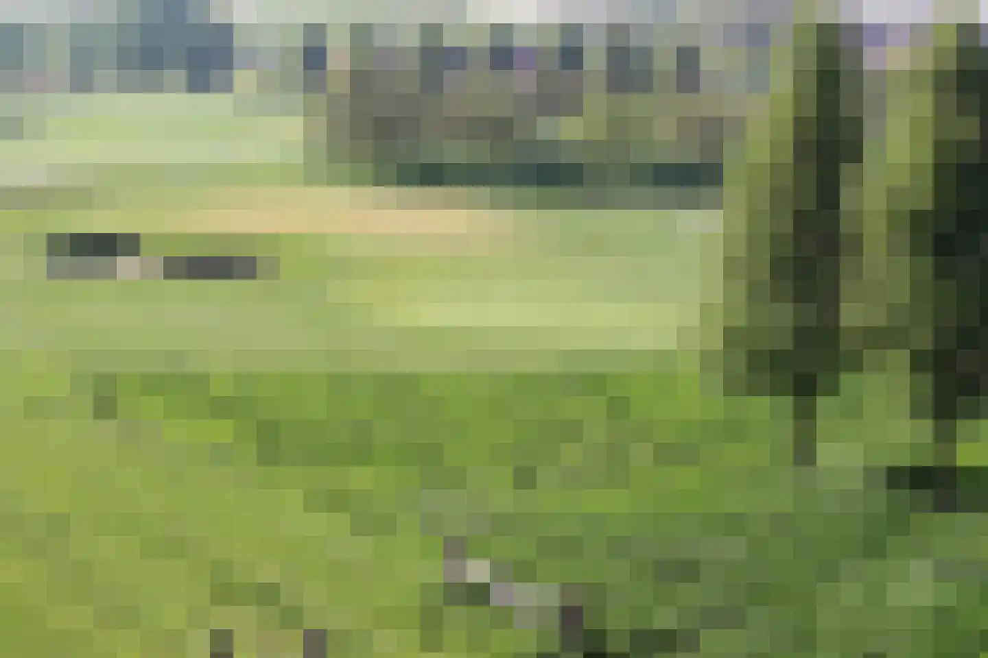 Parcivalring 519 's-Hertogenbosch thumbnail 28