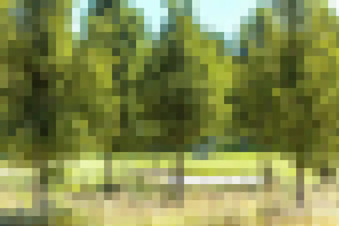Parcivalring 519 's-Hertogenbosch thumbnail 53