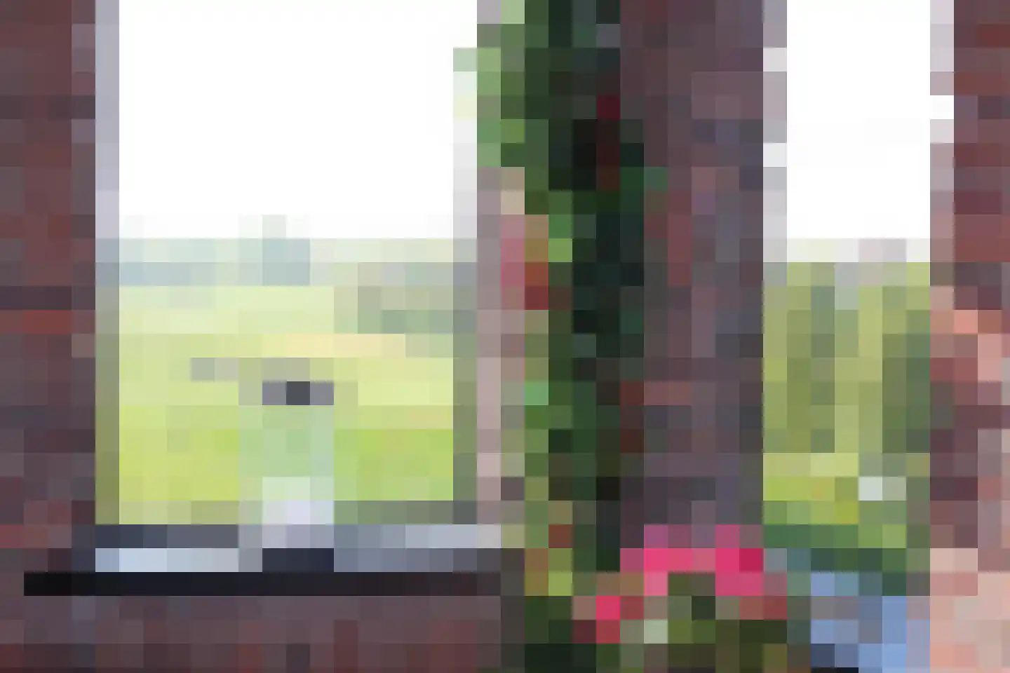 Parcivalring 519 's-Hertogenbosch thumbnail 6