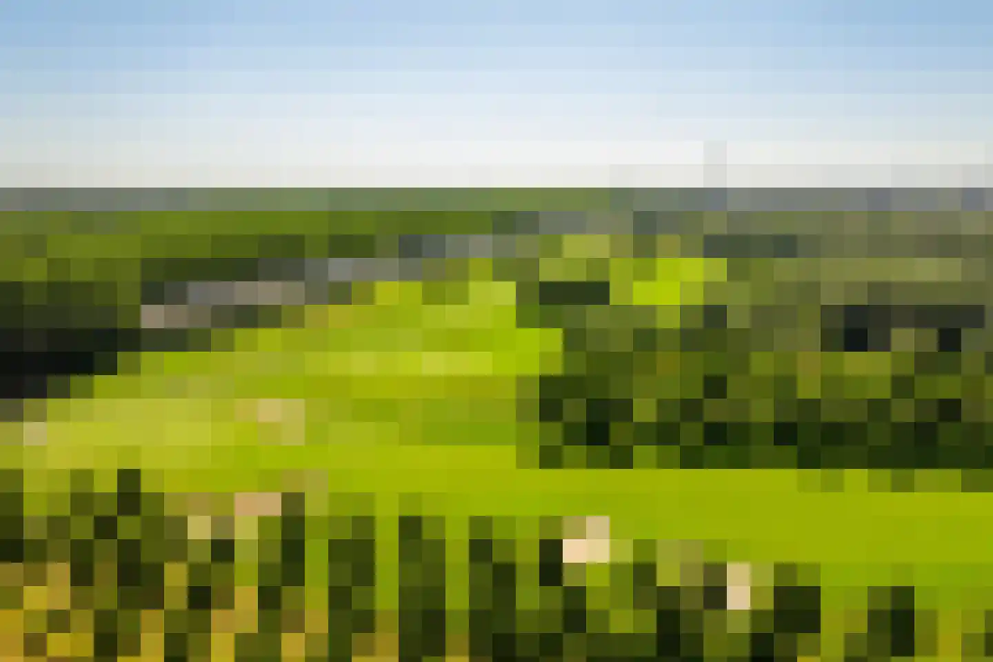Parcivalring 519 's-Hertogenbosch thumbnail 8
