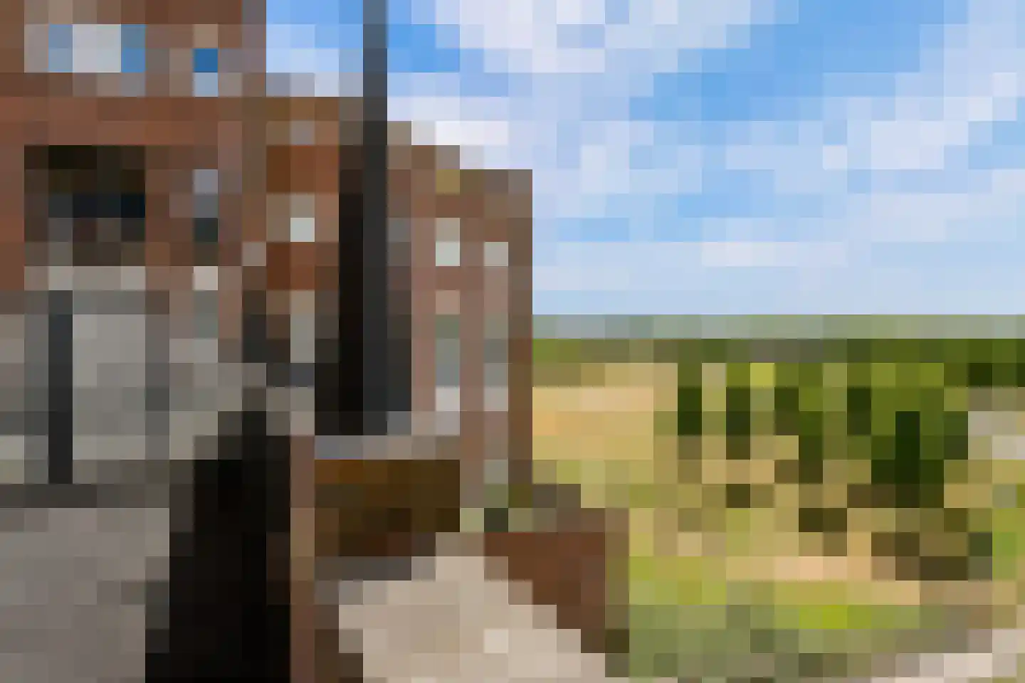 Parcivalring 523 's-Hertogenbosch thumbnail 24