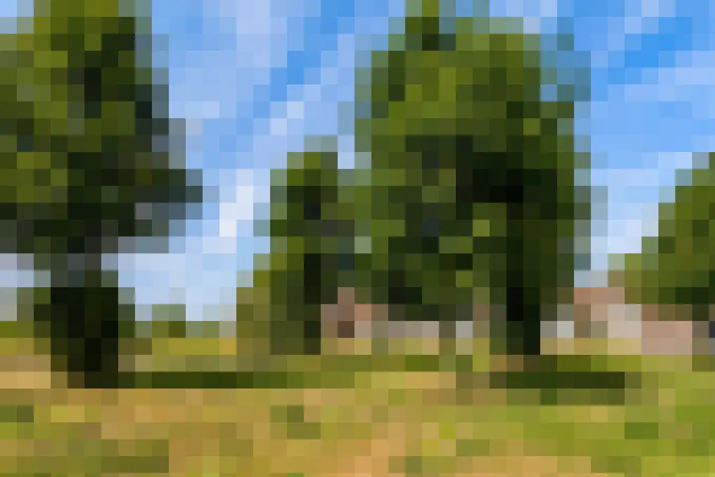 Parcivalring 523 's-Hertogenbosch thumbnail 34