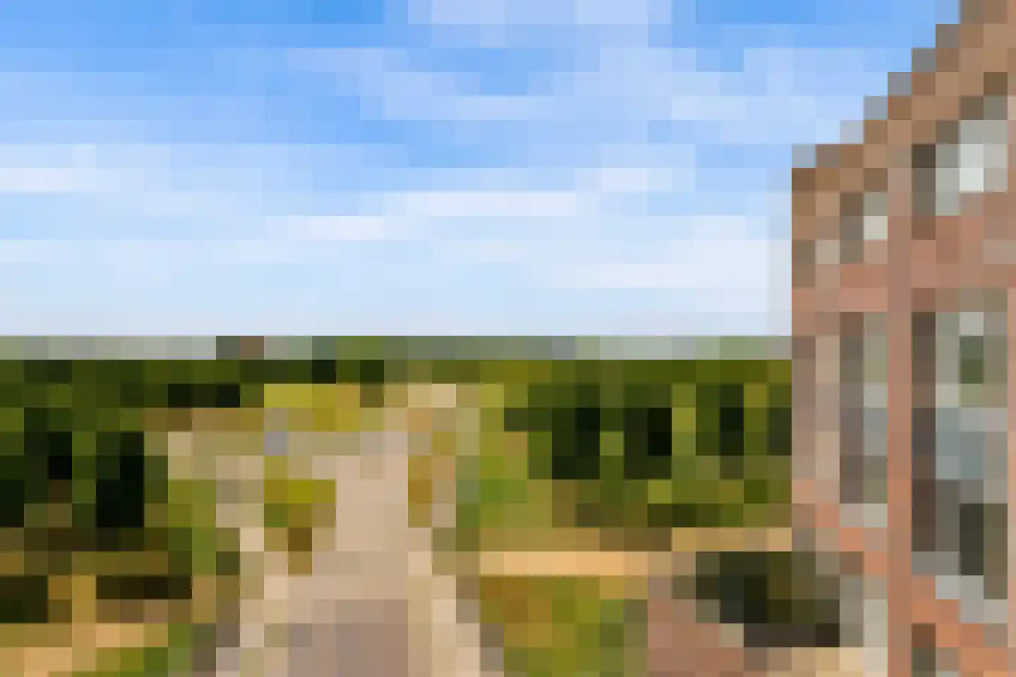 Parcivalring 523 's-Hertogenbosch thumbnail 35