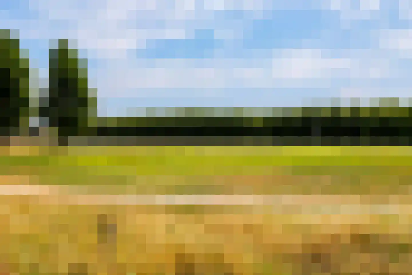 Parcivalring 523 's-Hertogenbosch thumbnail 36