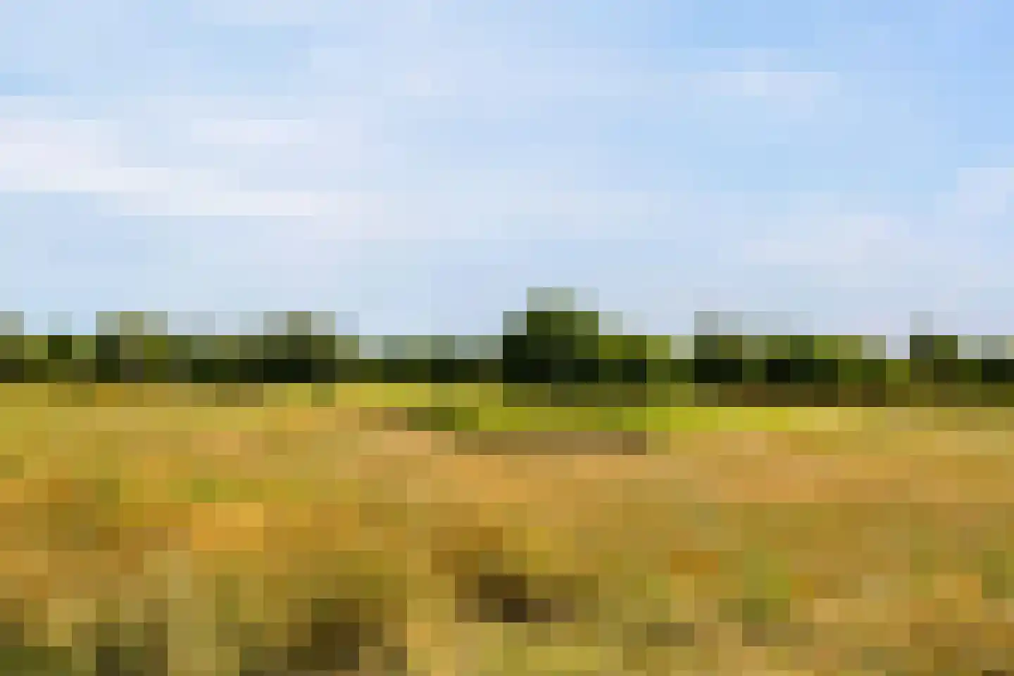 Parcivalring 523 's-Hertogenbosch thumbnail 45