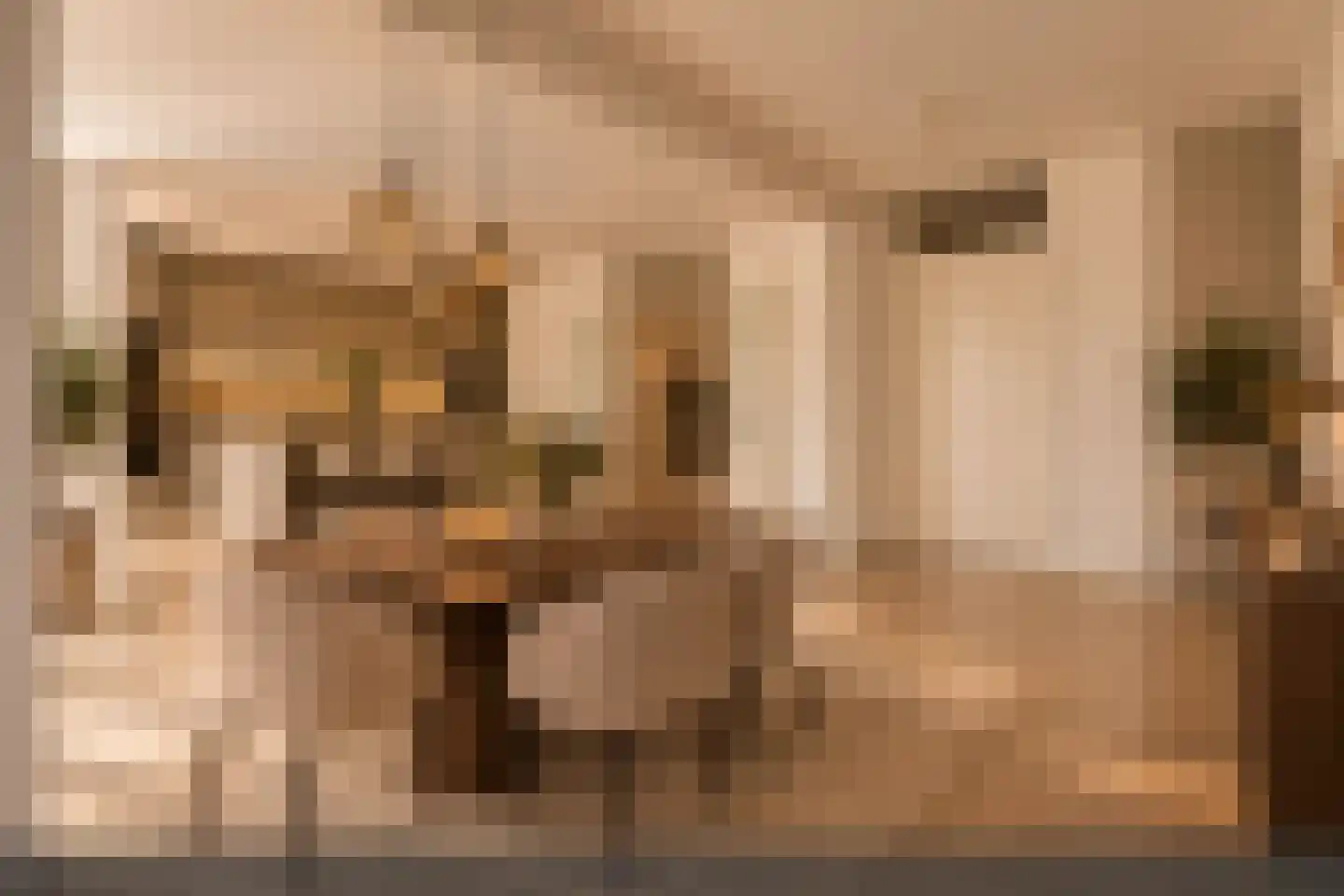 Parcivalring 523 's-Hertogenbosch thumbnail 6