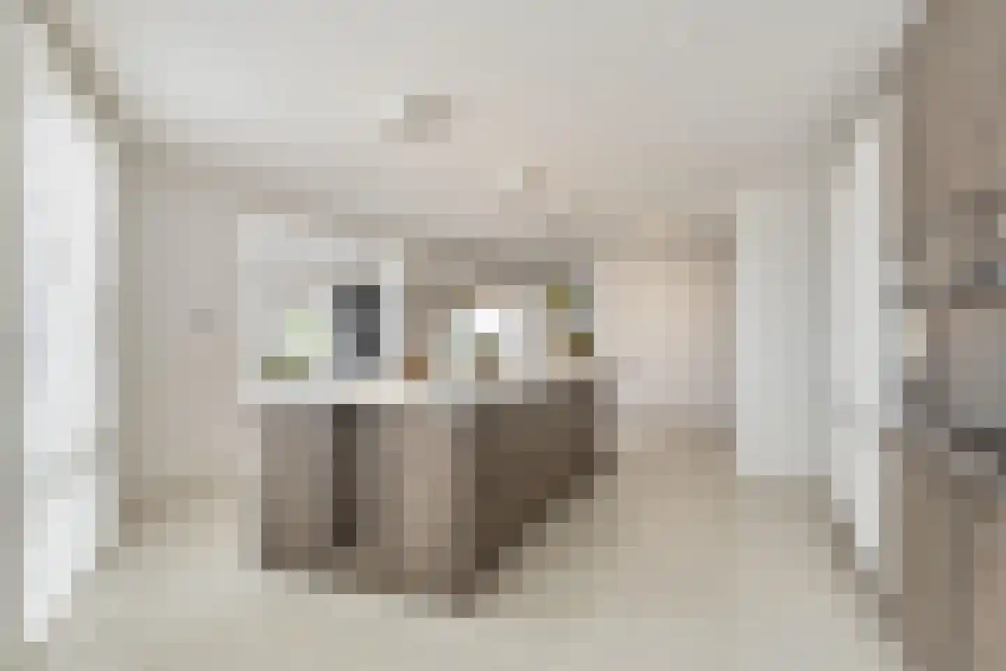 Parcivalring 533 's-Hertogenbosch thumbnail 11