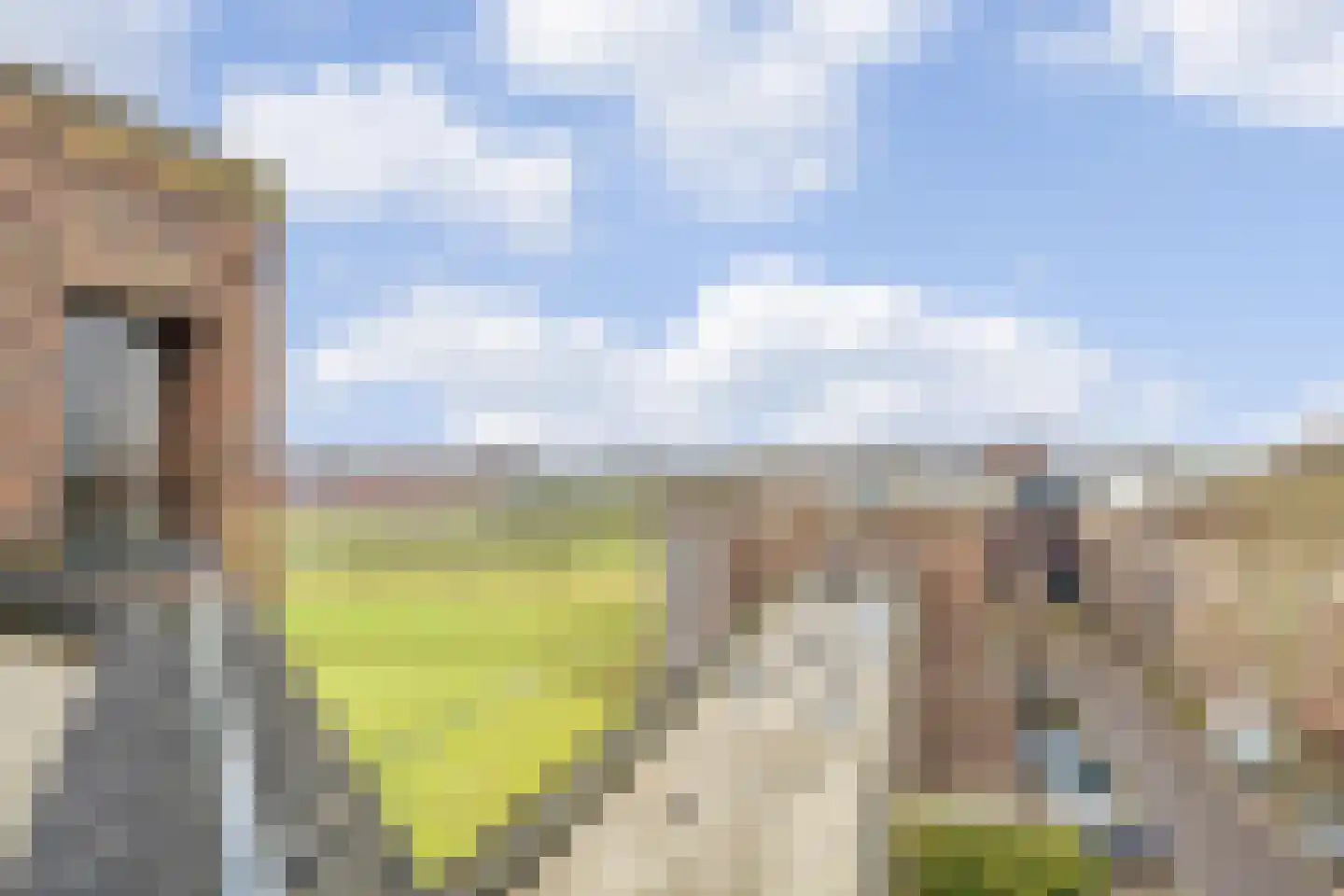Parcivalring 533 's-Hertogenbosch thumbnail 25